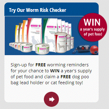 Free Dog Bag Lead Holder or Cat Toy 